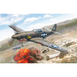 1:72 P-51A MUSTANG